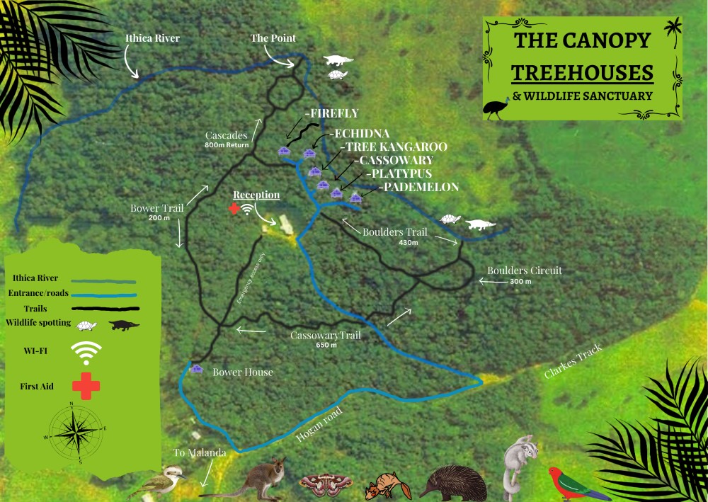Map of walking trails at The Canopy