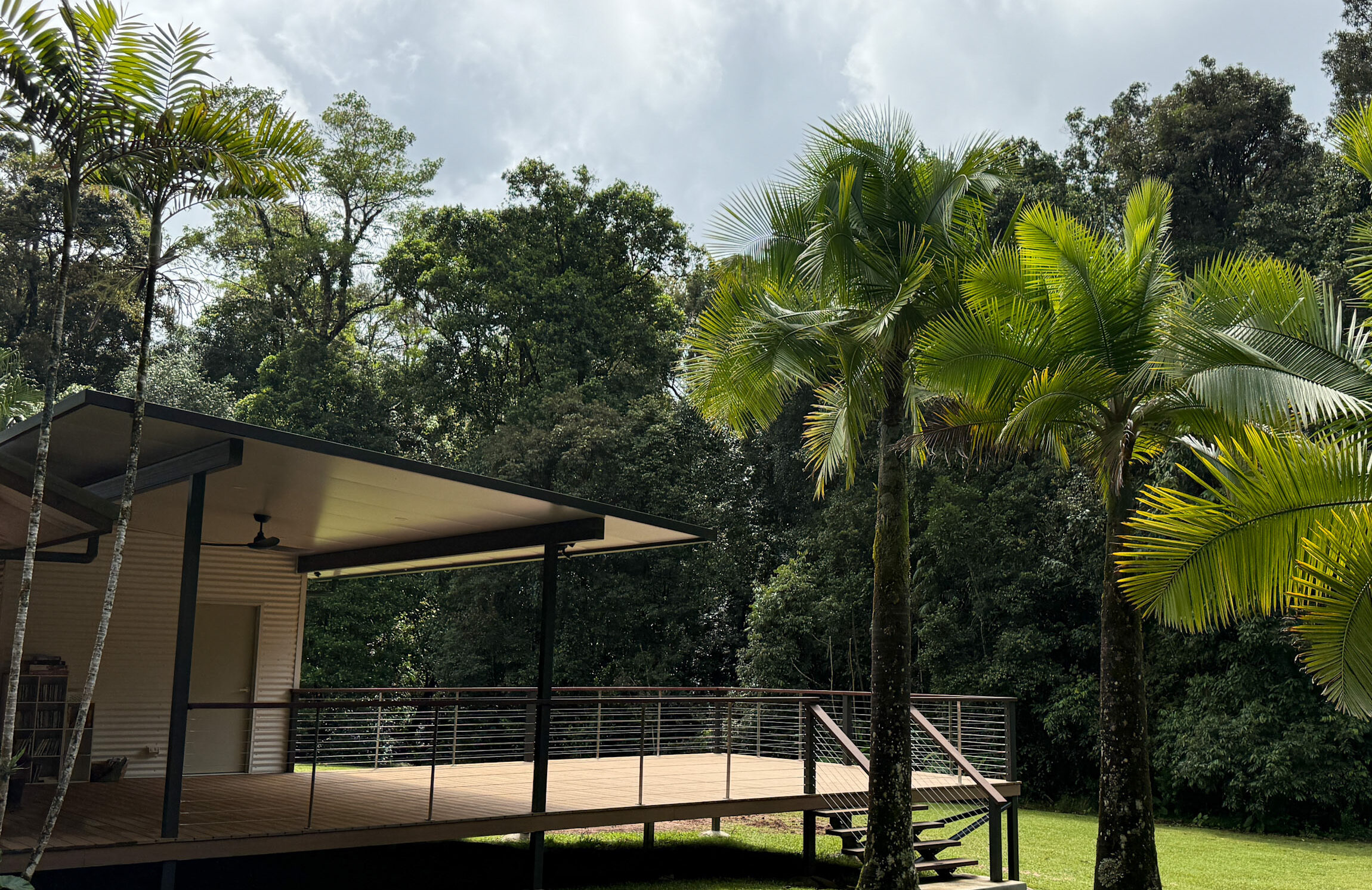 Deck in rainforest clearing